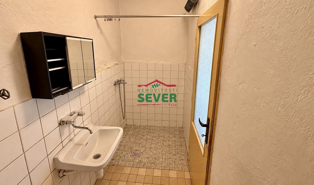 Prodej domu 241 m² s pozemkem 1 596 m², Křesín – náhled fotky 12