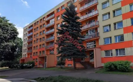 Pronájem bytu 3+1 68 m², Lidická, Pardubice - Polabiny