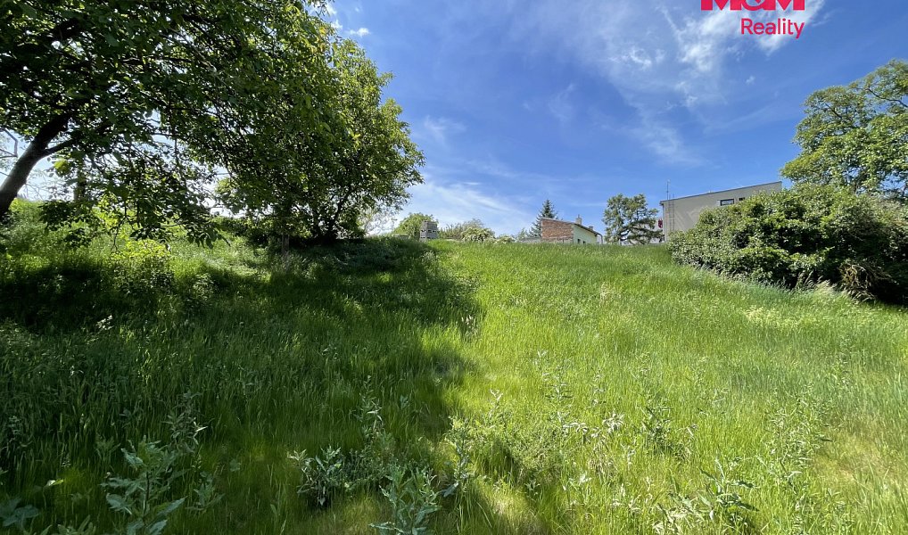 Prodej stavebního pozemku 7 245 m², Holubice – náhled fotky 11