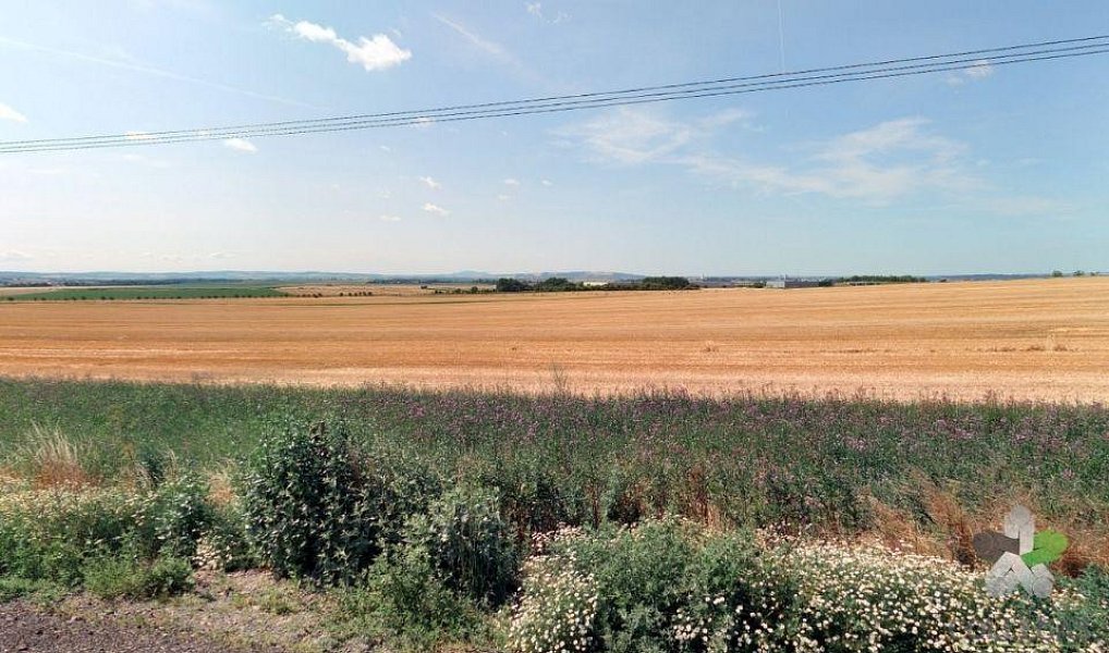 Prodej pole 6 915 m², Šlapanice – náhled fotky 3