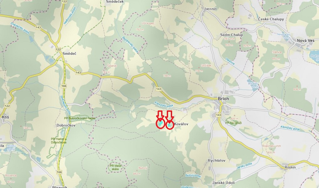 Prodej lesa 5 446 m², Brloh – náhled fotky 4