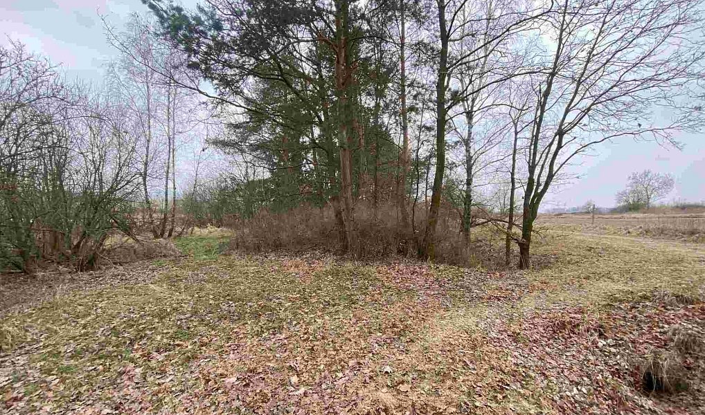 Prodej pozemku 2 121 m², Drahonice – náhled fotky 4