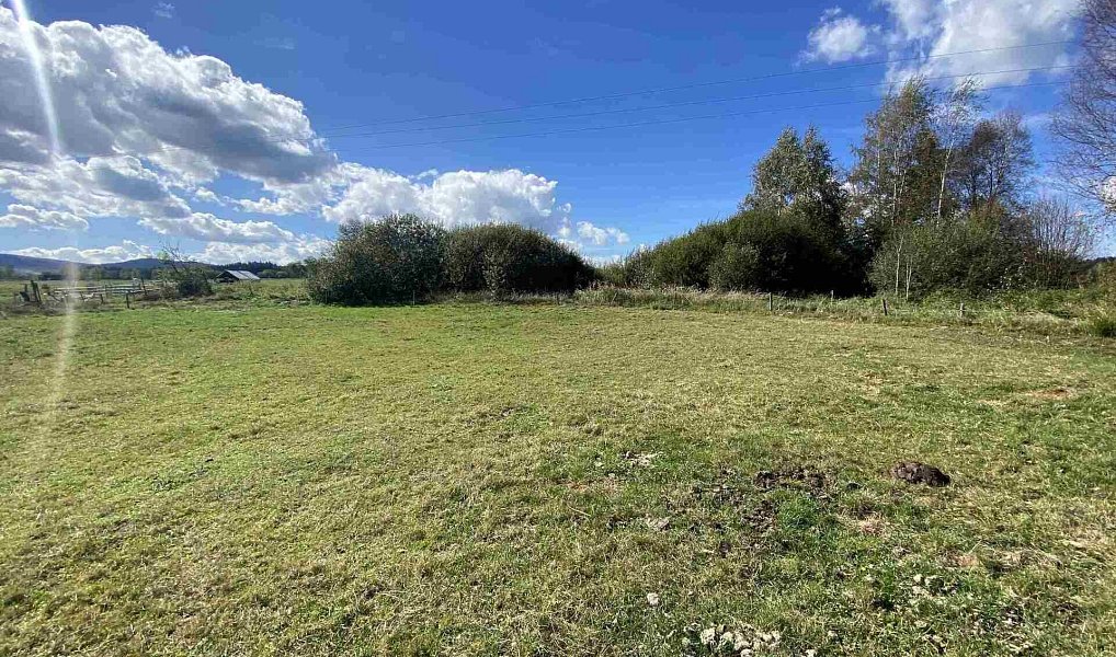 Prodej pozemku 6 764 m², Horní Stropnice – náhled fotky 3