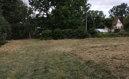Pronájem louky 3 000 m², Líšťany - Košetice, okres Plzeň-sever