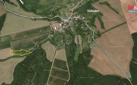 Prodej lesa 2 921 m², Tuchořice, okres Louny