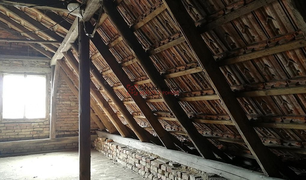 Prodej domu 200 m² s pozemkem 3 700 m², Kujavy – náhled fotky 9