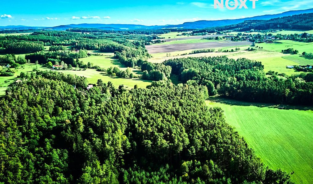 Prodej lesa 13 404 m², Hradce – náhled fotky 8