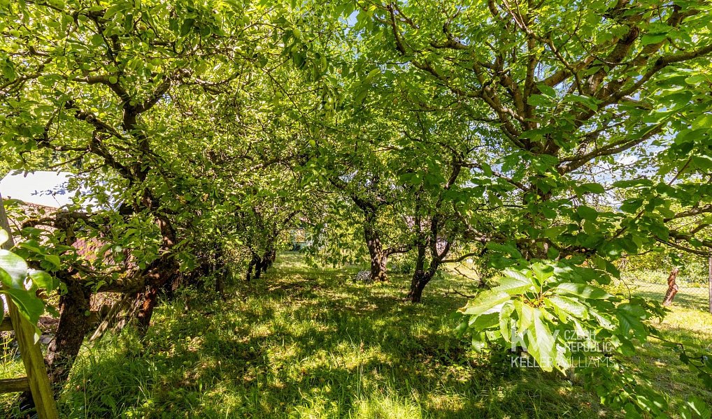 Prodej chaty/chalupy 9 m² s pozemkem 321 m², Humpolec – náhled fotky 2