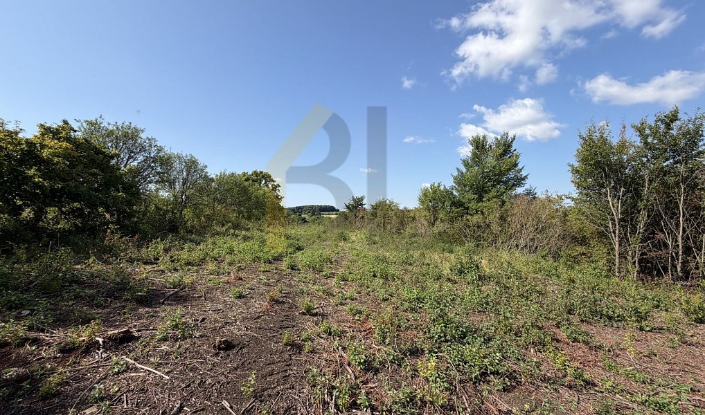 Prodej zahrady 3 867 m², Strážnice – náhled fotky 6