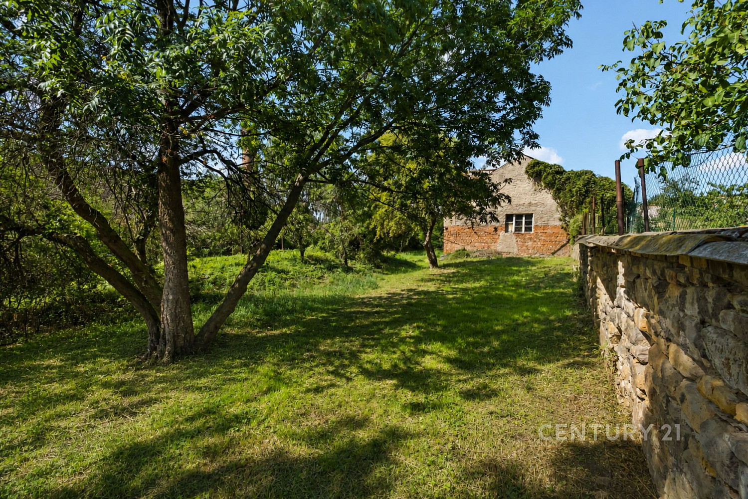 Prodej komerčního objektu (jiného typu) 354 m² – fotografie 4