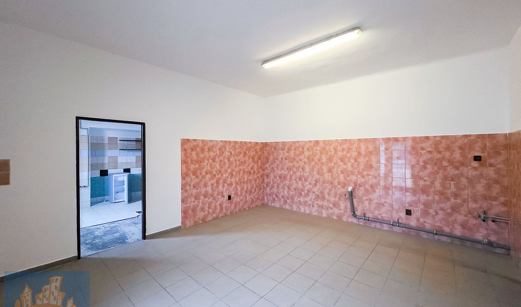 Pronájem výrobních prostor 220 m², Hostomice – náhled fotky 4