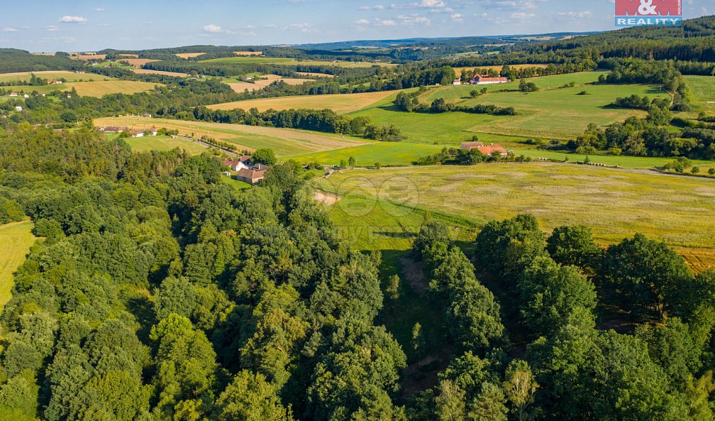 Prodej louky 6 183 m², Albrechtice nad Vltavou – náhled fotky 2