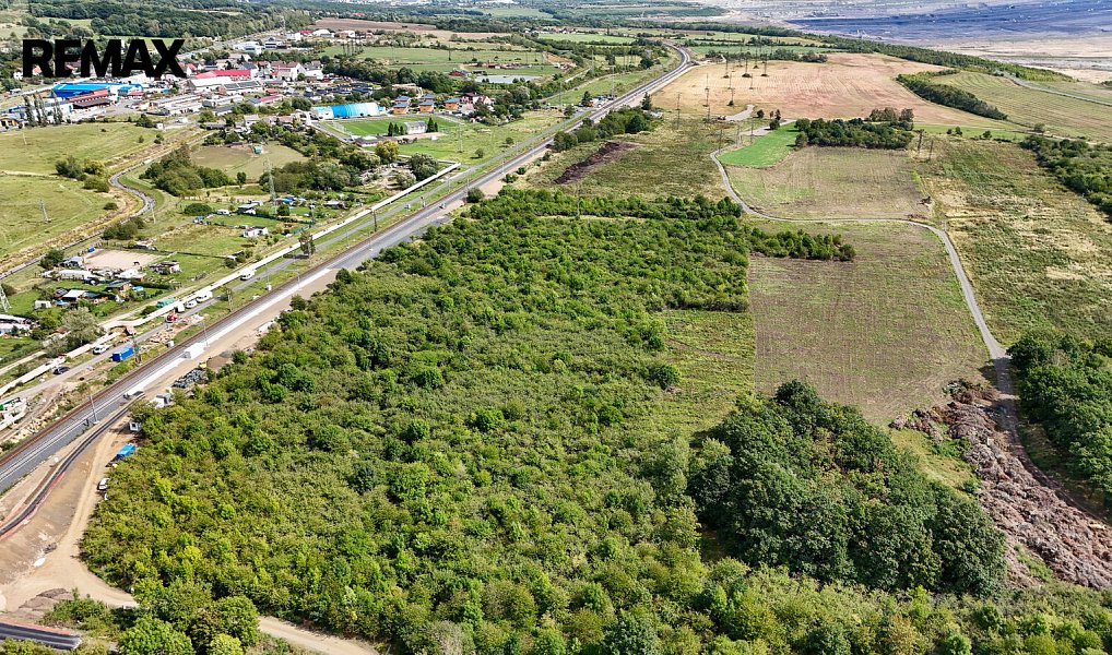 Prodej lesa 14 938 m², Málkov – náhled fotky 5