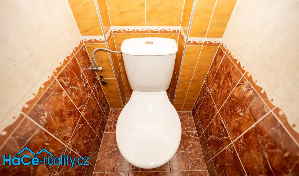 Prodej komerčního objektu (jiného typu) 572 m², Slatina nad Zdobnicí – náhled fotky 36