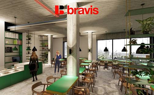 Pronájem obchodních prostor 168 m², Řípská, Brno - Slatina