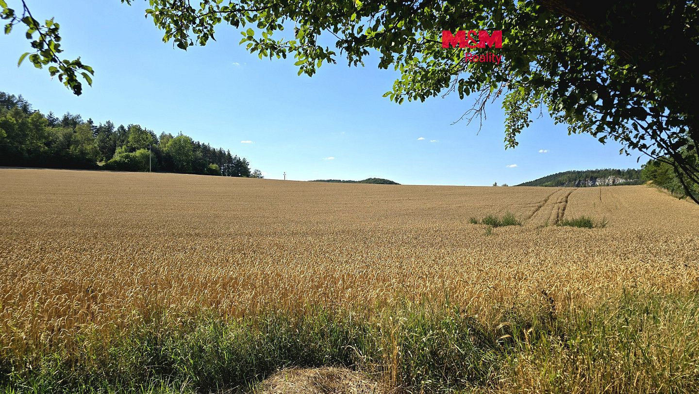 Prodej pole 15 359 m²