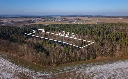Prodej lesa 12 910 m², Vlastiboř, okres Tábor
