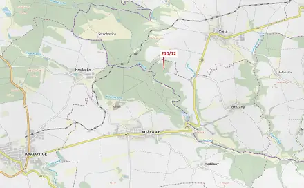 Dražba lesa 833 m², Břežany
