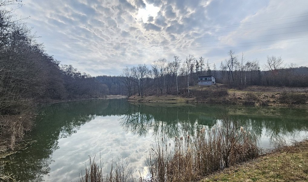 Prodej chaty/chalupy 25 m² s pozemkem 435 m², Dolany nad Vltavou – náhled fotky 9