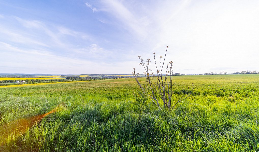Prodej stavebního pozemku 2 813 m², Dobříč – náhled fotky 5