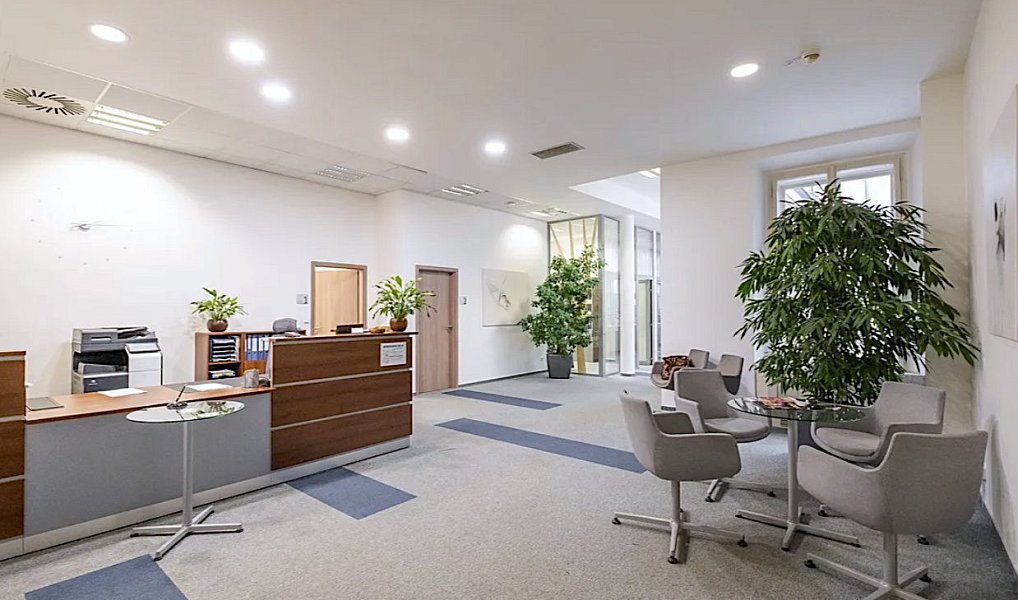 Pronájem kanceláře 300 m², Praha – náhled fotky 2