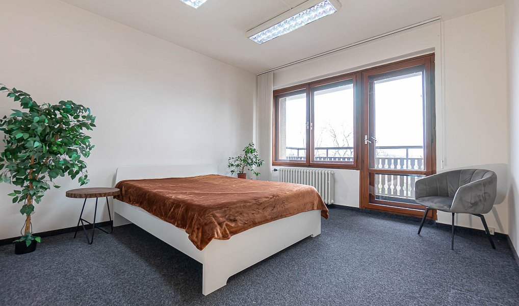 Pronájem bytu 1+1 30 m², Praha – náhled fotky 2