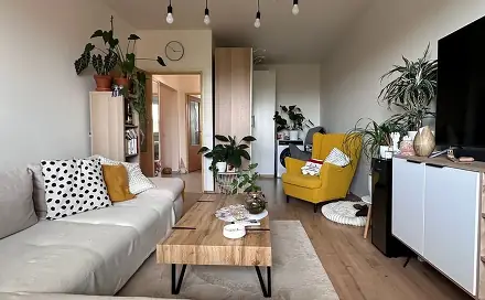 Pronájem bytu 2+1 56 m²