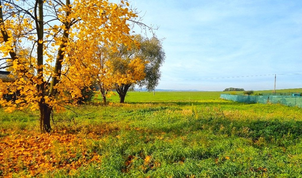 Prodej stavebního pozemku 2 051 m², Boseň – náhled fotky 4