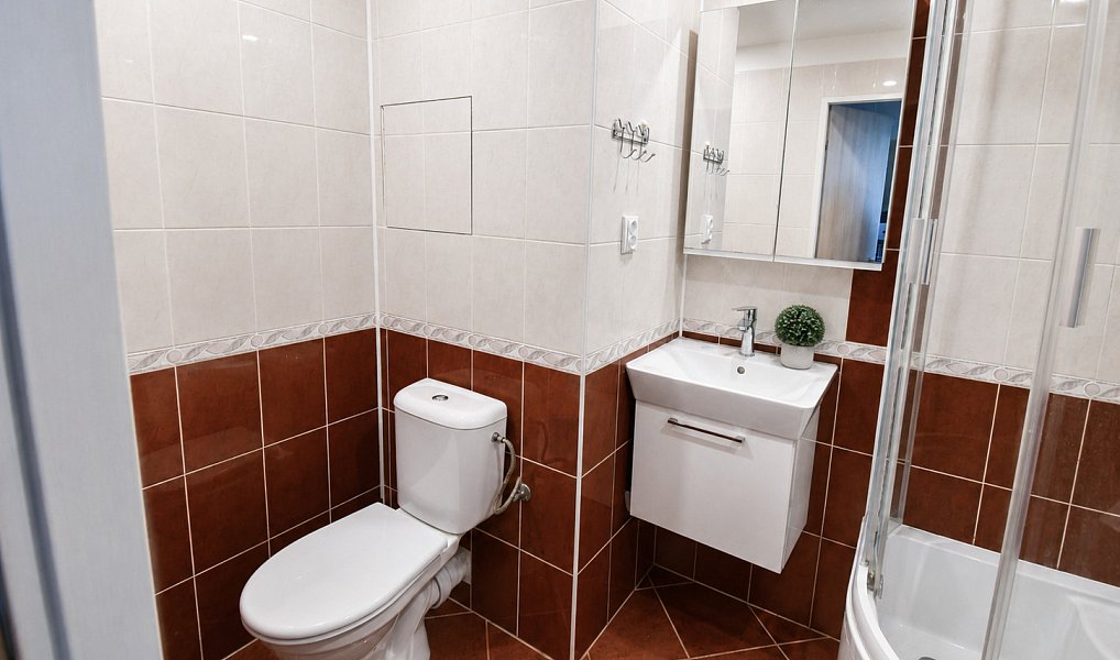 Prodej bytu 2+kk 46 m², Brno – náhled fotky 14
