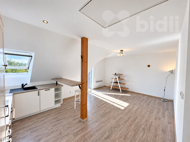 Pronájem bytu 2+kk 58 m² – fotografie 2