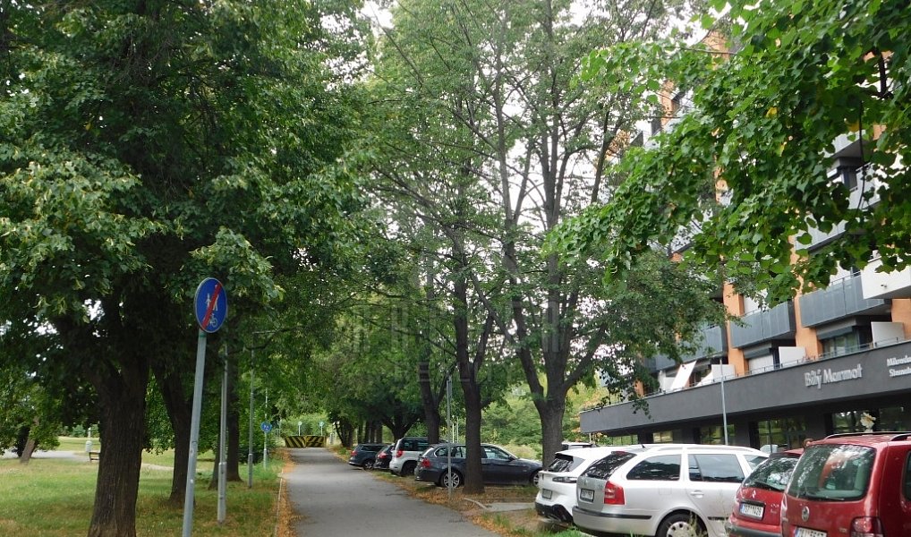 Prodej bytu 1+kk 43 m², Praha – náhled fotky 10