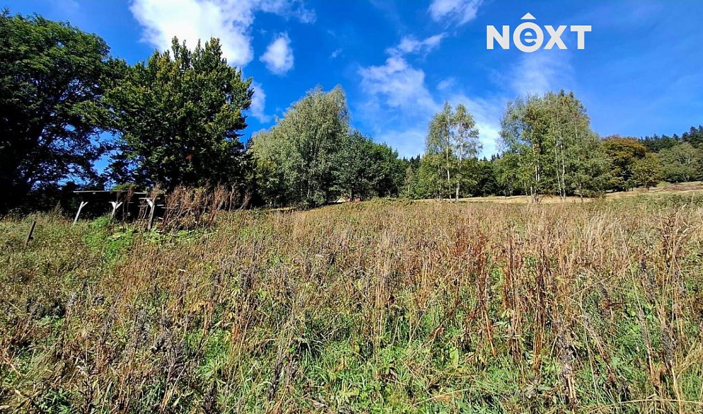 Prodej stavebního pozemku 4 273 m², Pec pod Sněžkou – náhled fotky 12