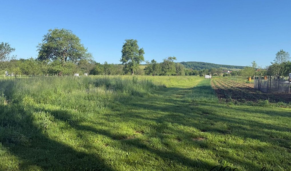 Prodej zahrady 1 297 m², Záhorovice – náhled fotky 2