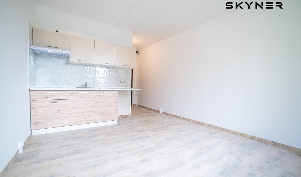 Pronájem bytu 1+kk, 21 m², Ústí nad Labem-centrum - Ústí nad Labem, Ústí nad Labem