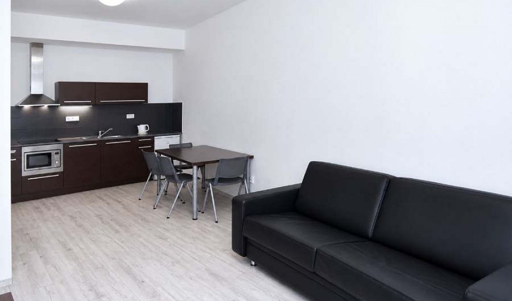 Prodej bytu 2+kk 48 m², Brno – náhled fotky 5