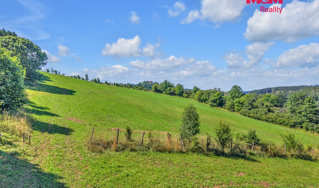 Prodej louky 17 267 m², Pecka – náhled fotky 7