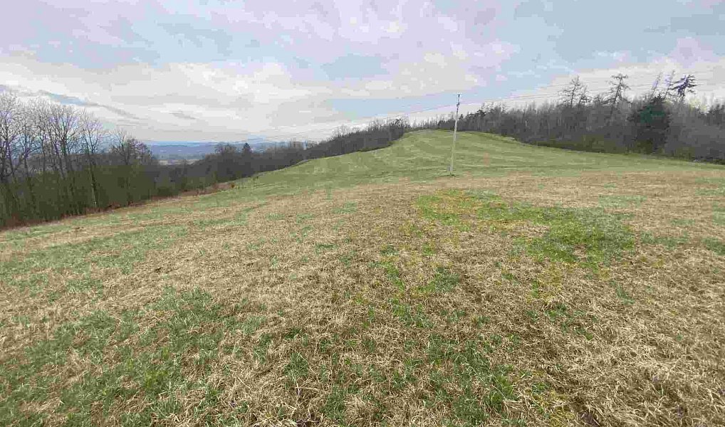 Prodej pole 14 714 m², Mírová pod Kozákovem – náhled fotky 3