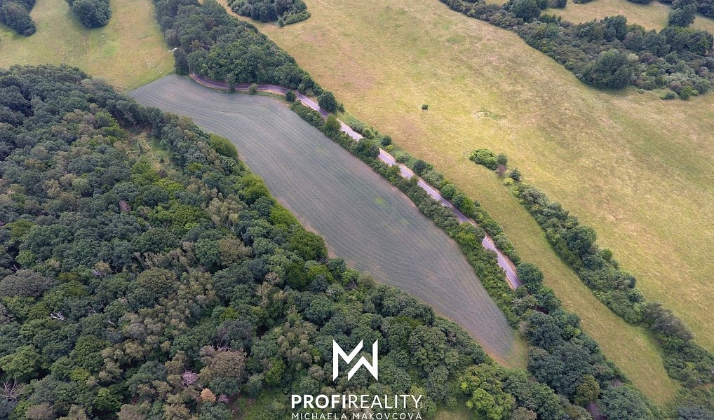 Prodej pole 30 547 m², Stružnice – náhled fotky 6
