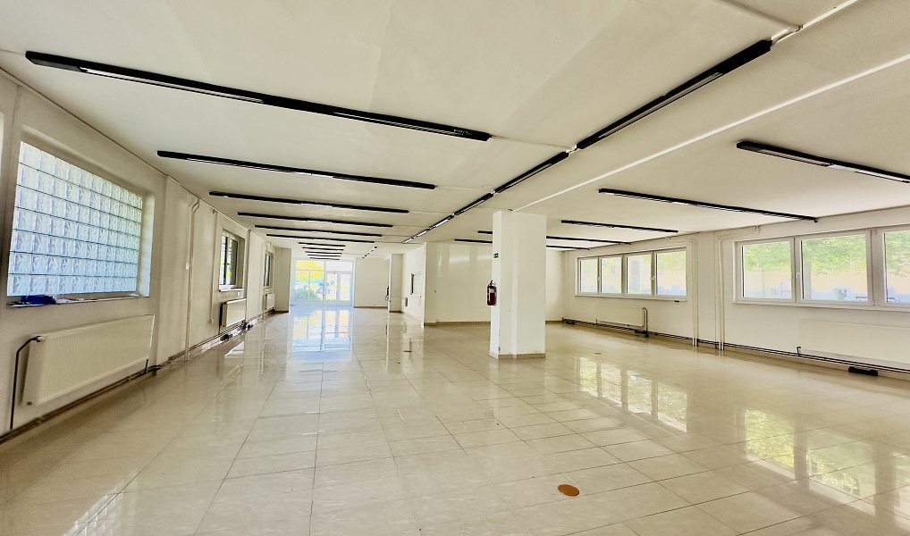 Pronájem obchodních prostor 593 m², Blatná – náhled fotky 2