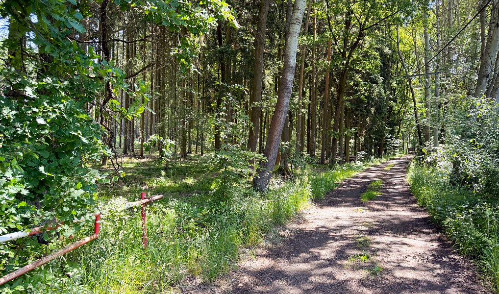 Prodej louky 532 m², Česká Lípa – náhled fotky 8