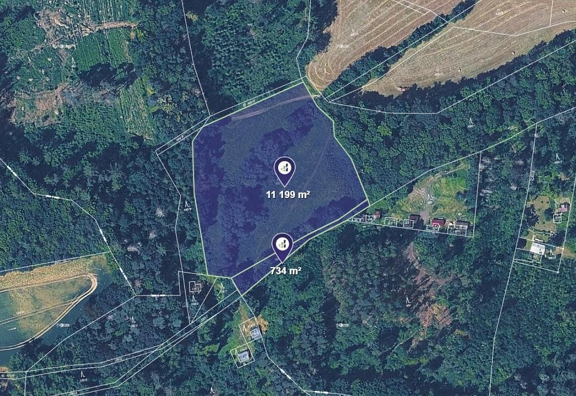 Prodej louky 11 933 m²