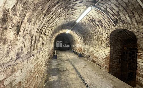 Vinný sklep s projektem, Čejkovice, Vinařská, Čejkovice, okres Hodonín