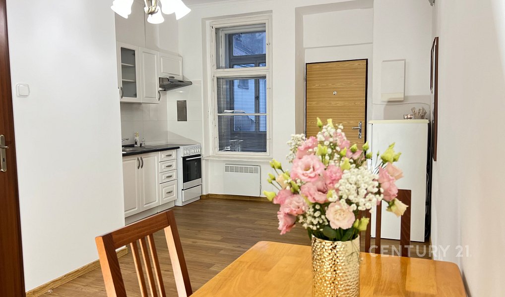 Pronájem bytu 1+1 46 m², Praha – náhled fotky 7