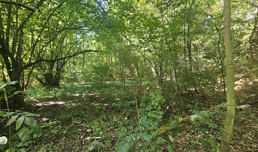 Prodej stavebního pozemku 5 391 m², Ústí nad Labem – náhled fotky 17