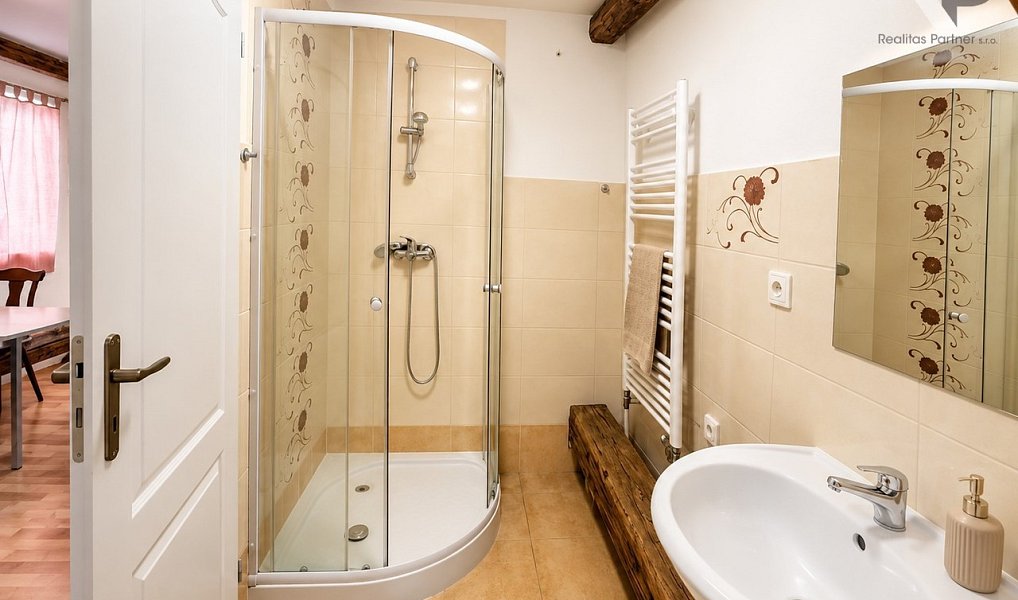 Prodej domu 319 m² s pozemkem 1 006 m², Dobronín – náhled fotky 35