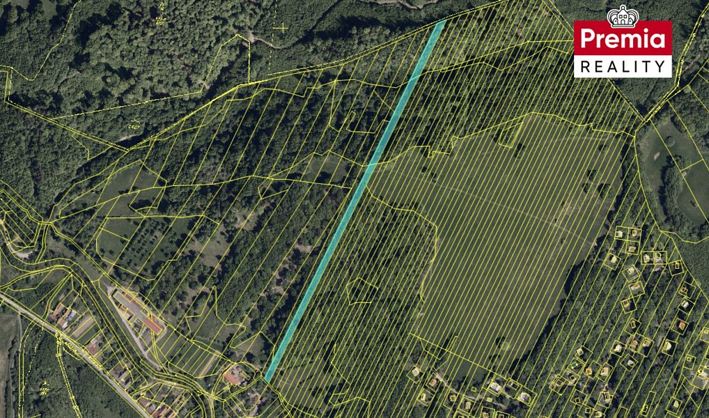 Prodej pozemku 9 685 m², Nová Lhota – náhled fotky 3
