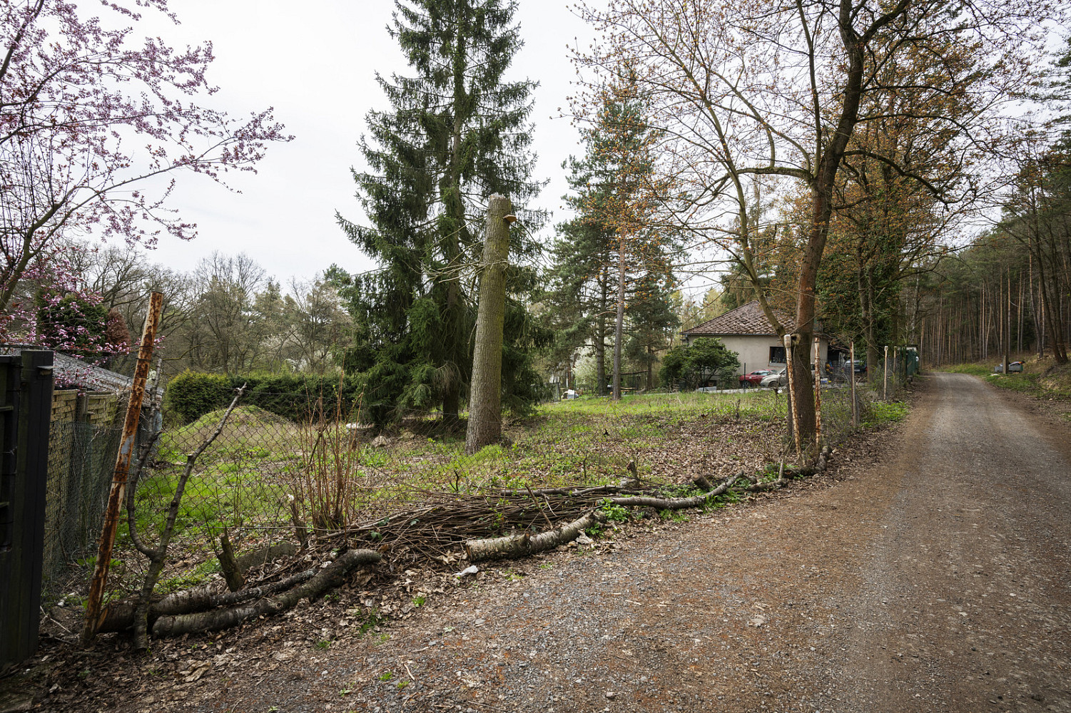 Prodej stavebního pozemku 1 005 m² – fotografie 5