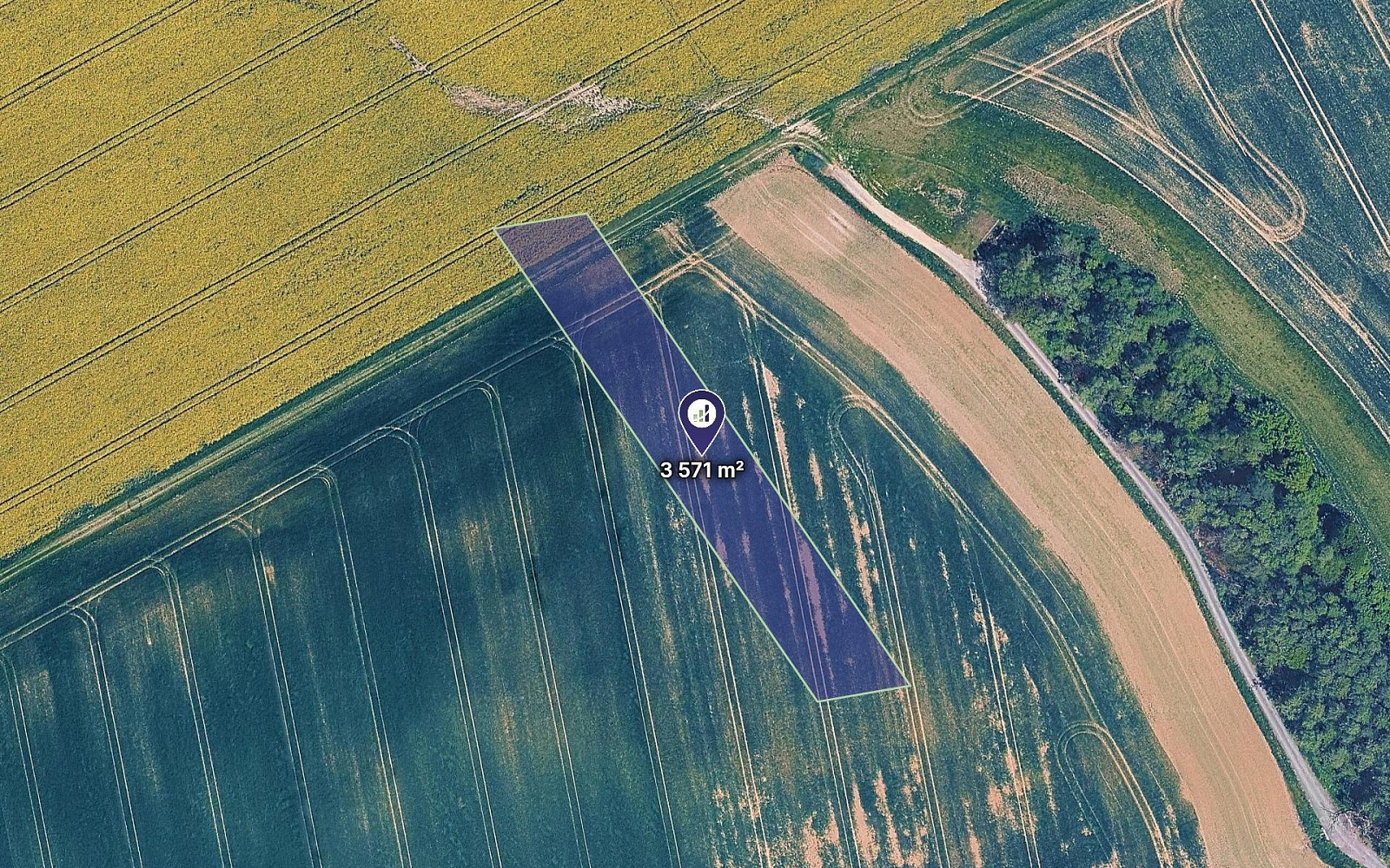 Tomt, 4474 m²