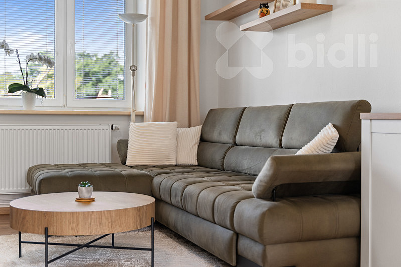 Prodej bytu 2+1 58 m² — photo 3