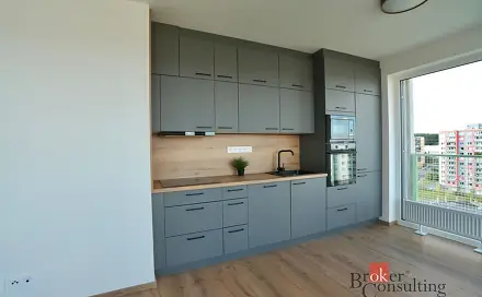 Pronájem bytu 2+kk 53 m², Krašovská, Plzeň - Bolevec